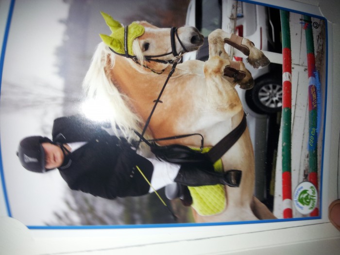 Concour a la SHR, inter-rgional, 17 sur 85 & classer :))!