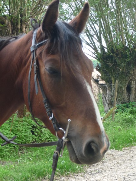 Mme les noeils ferm c'est le plus beaux.