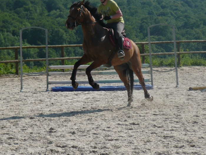 cheval qui fait on ne sait quoi