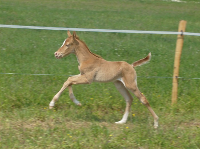 le jour de sa naissance