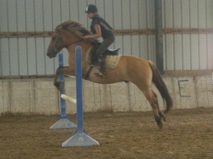 Stage avec un poney de club (: