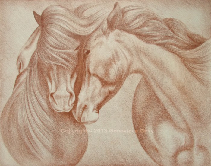 Dessins De Chevaux Album Photo De Désy Chevalannoncecom