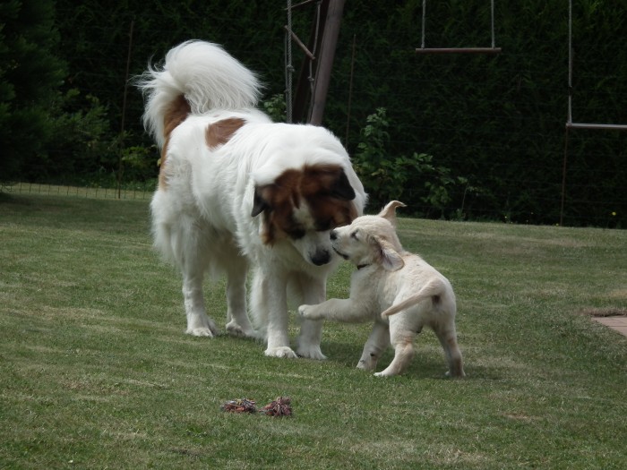 Beetho et Heaven