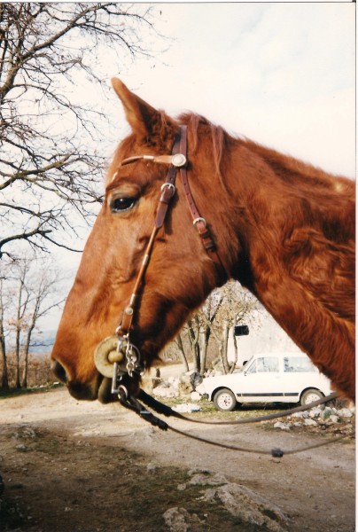mon nounours !!! sortie de l'hiver