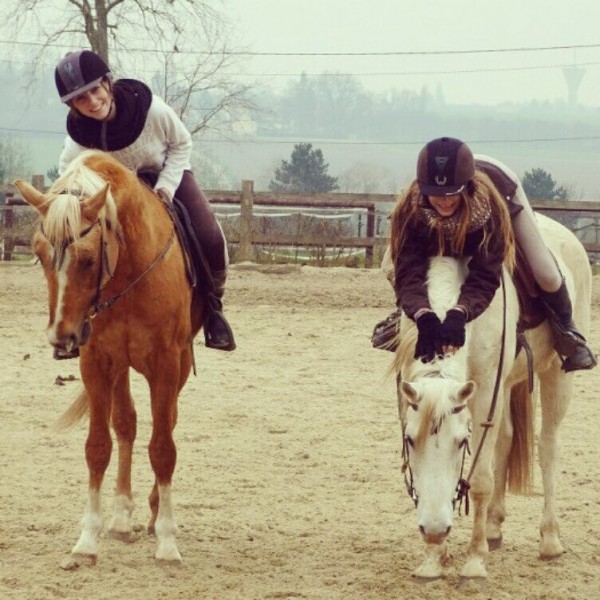 Kiwi vieux petit arabe palo, adorable &#9829; & une amie sur Findji .