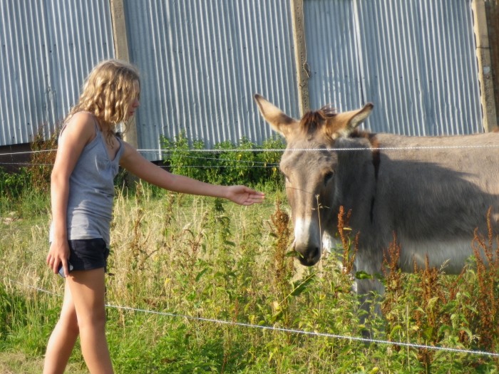 Canabis <3 