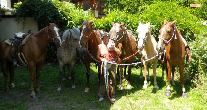 les six chevaux actuelement a l association