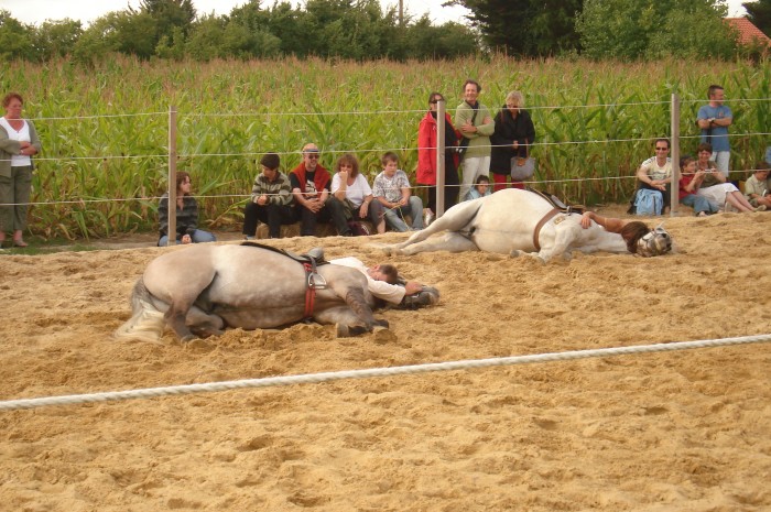 spectacle du debut d'anne