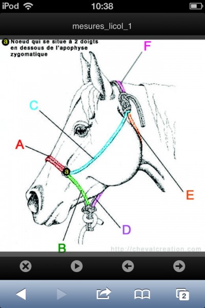 licol ethologique