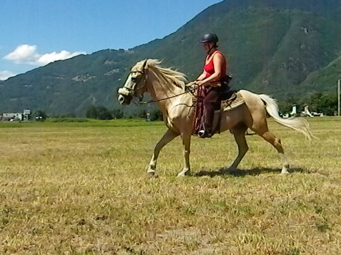 flash Palomino 32 ans juillet 2012