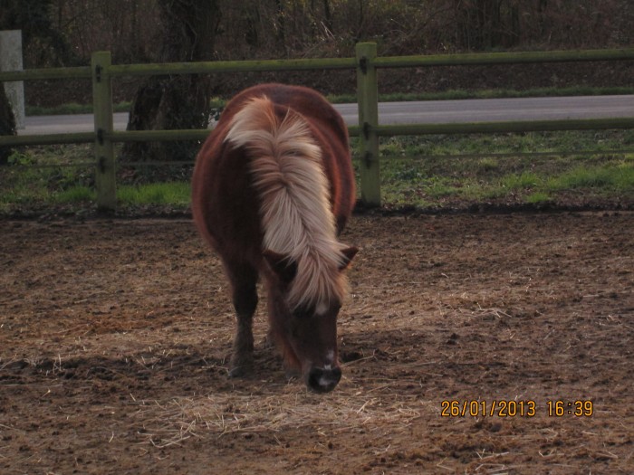 cacahute <3 trop mignonne <3