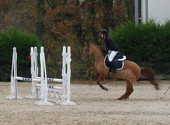 Trop swaggy cette ponette