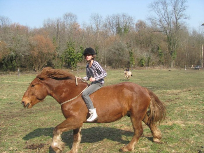 Notre librt.. Un cheval changer. Pass de cravache filet a aiguille. A licol, et libert..