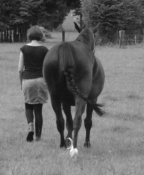 Pepsi et moi : d'abord des balade  pied!
