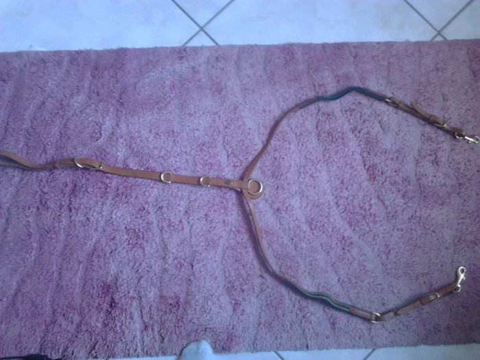 Collier de chasse Eric Thomas