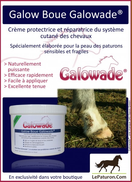 Galow Boue Gale de boue Chevaux Galowade