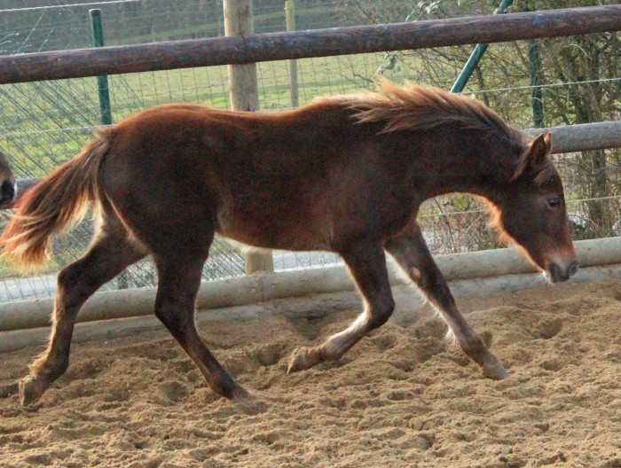 chikita de la slune