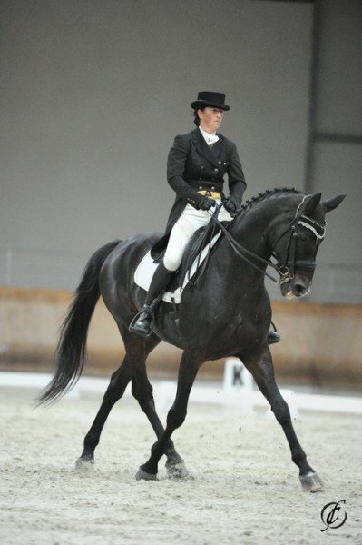 Sandrine Constantin intervenant  Dressage sur le club