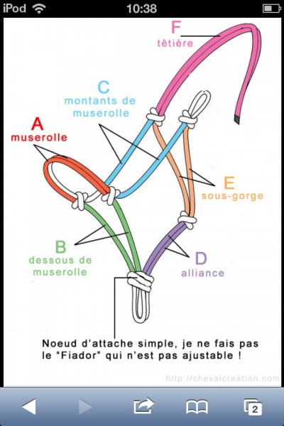 licol ethologique