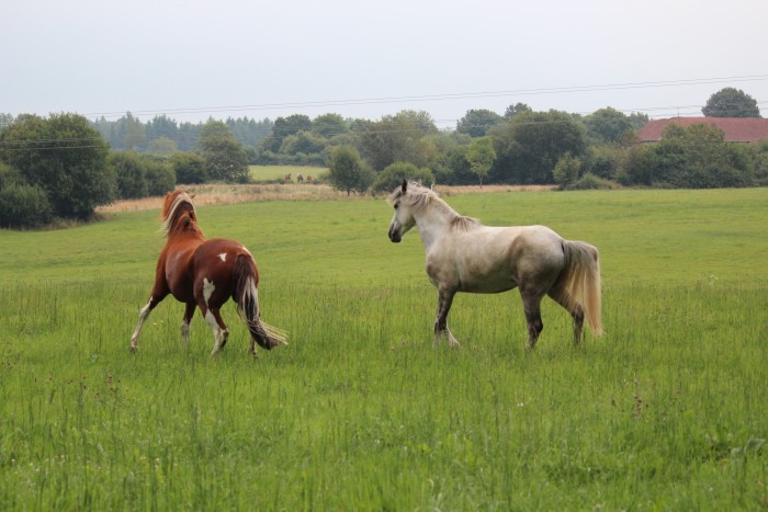 Rencontre saulzoir