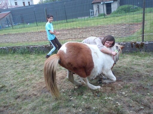 Le placage du poney