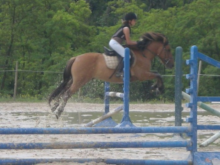 Concours de stage avec un poney de club (: