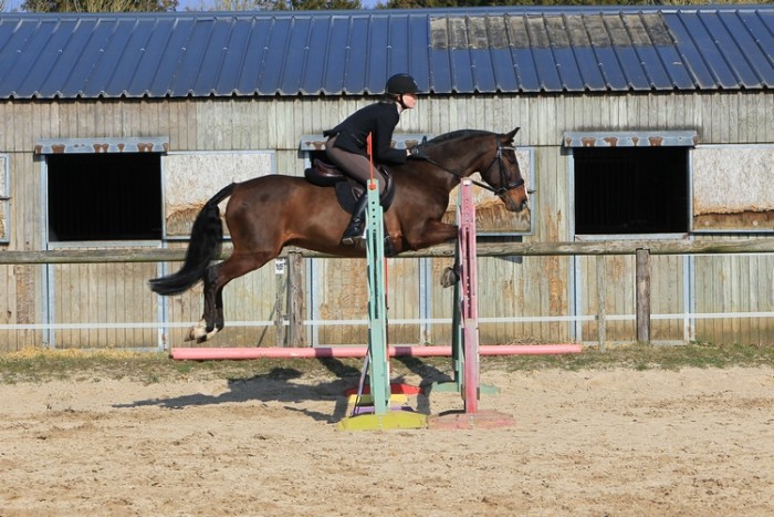 Vice champion d'Essonne Hunter 2013