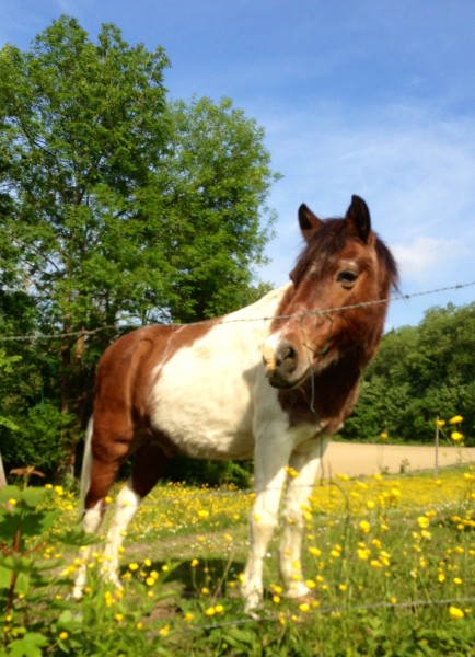 Yakari mon petit vieux de 28 ans