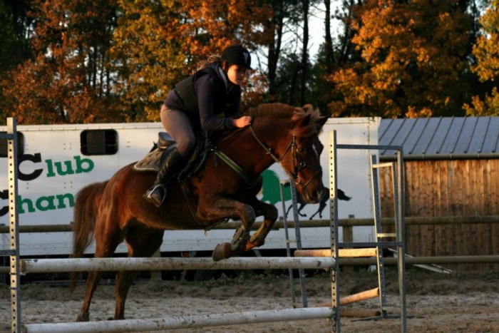 novembre 2012 
