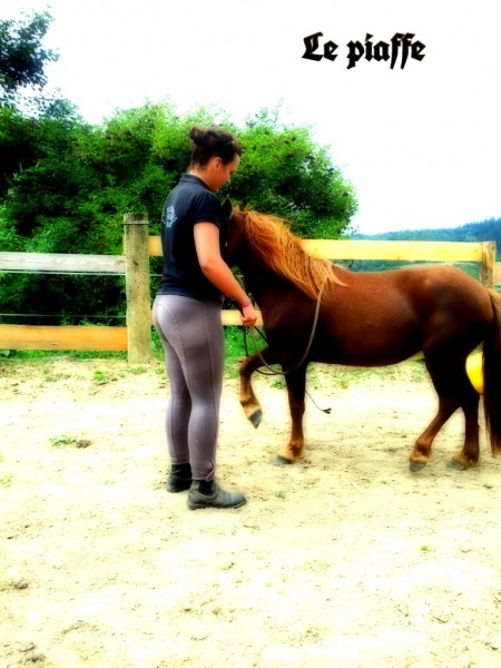 2012 maya ponette dress� pour le spectacle