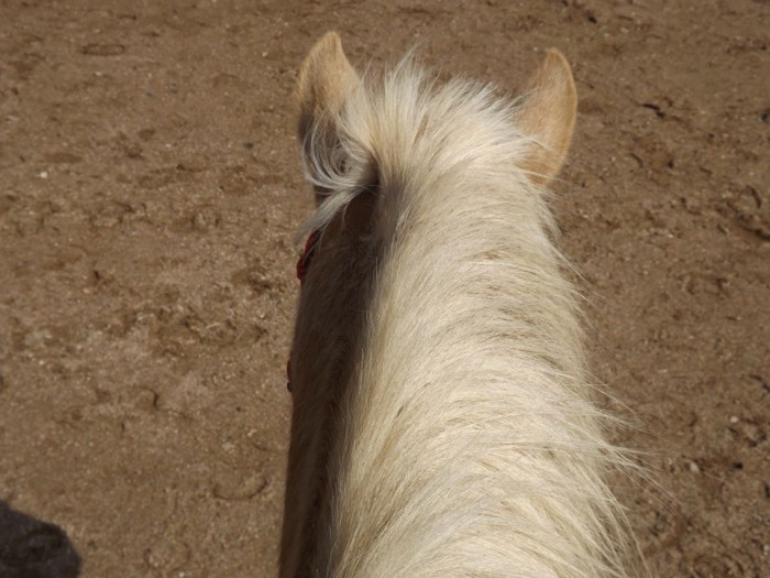 En haut de Paloma :)