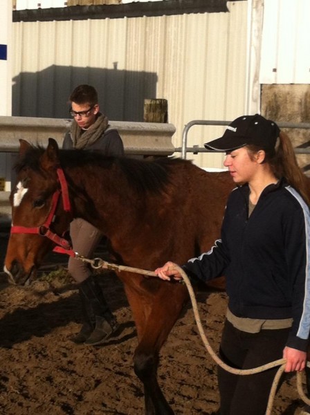 1ers pas dehors (yearling)