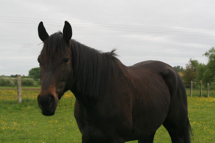 Mon bb <3