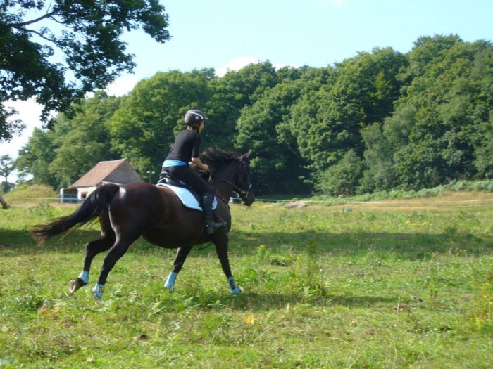 Cours aux curies