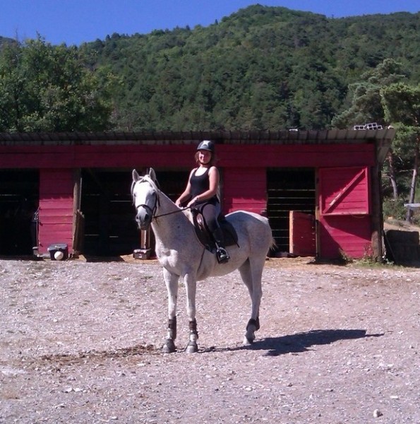 Kasmeen el arabe , le cheval de mon grand pre c'est un pur-sang arabe blanc truit 