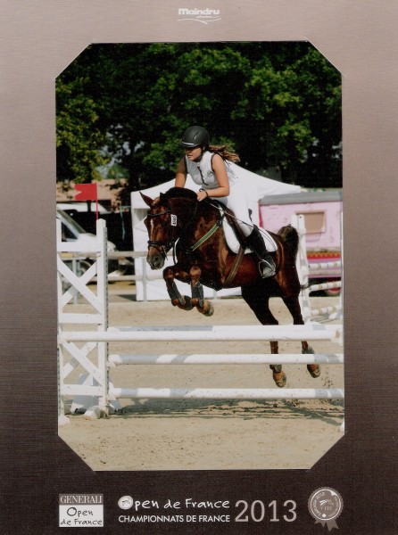 Championnats de France 2013