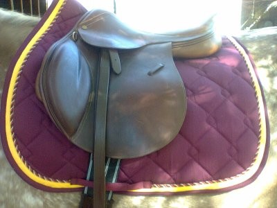 tapis equitheme dressage bordeau cheval 20