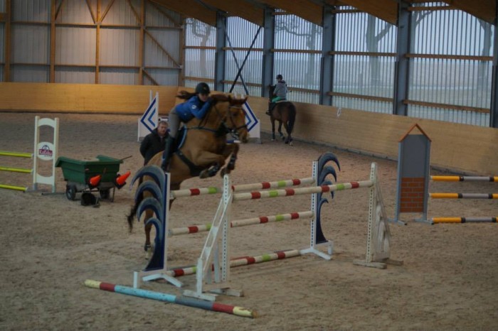 Stage de perfectionnement a l'obstacle avec mon cheval vivaldi 