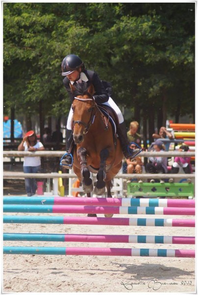 lamotte 2013