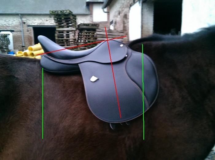 Comment choisir la taille de sa selle