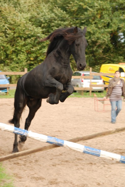 et oui un frison �a saute !