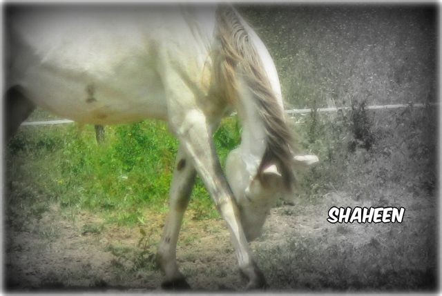 Ma fille qui se gratte dans son pr�