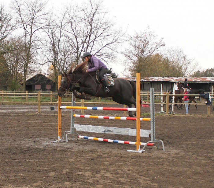 OLIVER ET MOI HAGUENAU 2012