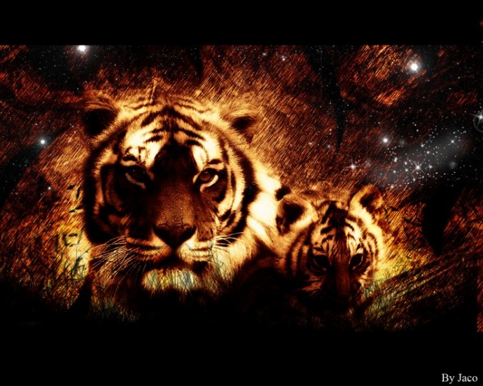 n grand tigre et son petit dans l'or noir de la nuit ^^