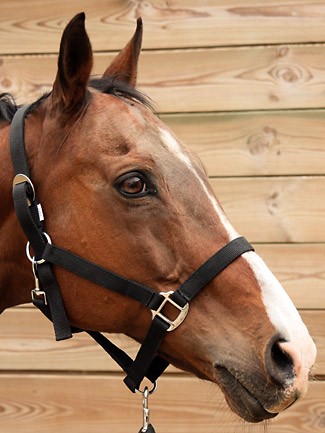 KORENTO mon papi PS de 23 ans ; on a v�cu des moments ensembles, tu a bien m�rit� ta retraite <3