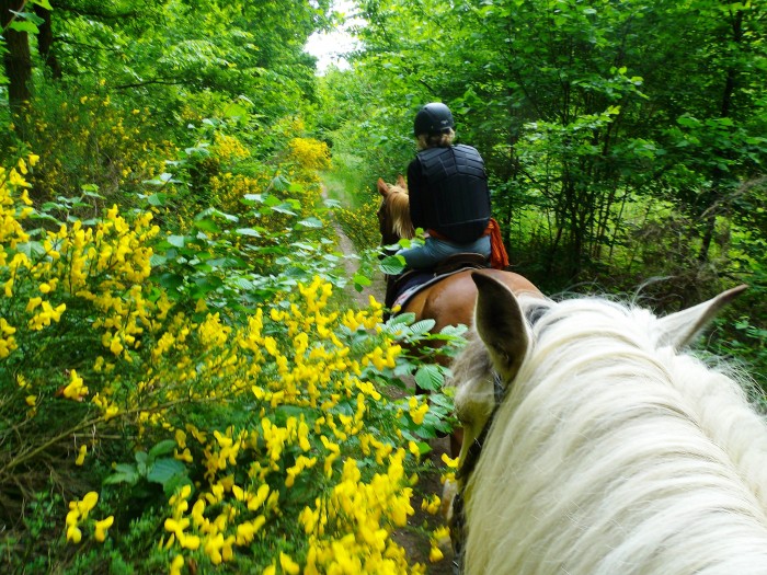 vers les anciennes carrires de sables ....