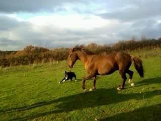 prince qui donne une le�on � cezar