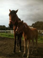 dernier jour avec maman 16/08/2013