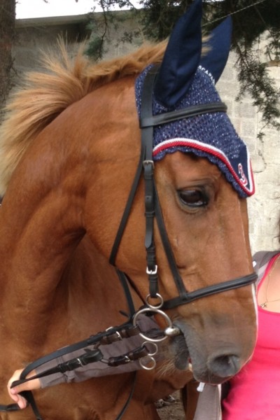 Bonnet scapa a vendre