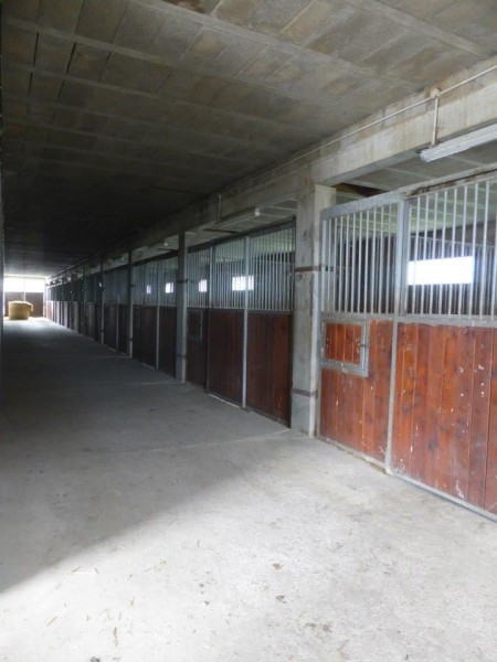 Ecurie int�rieure